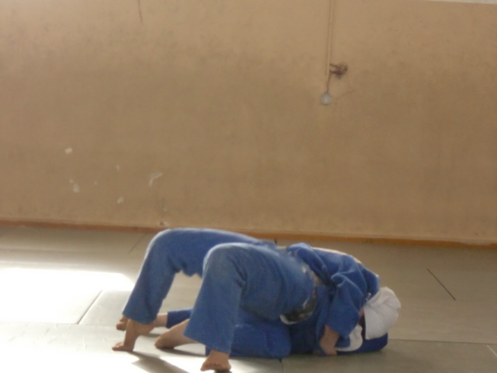 http://www.sophiakai.jp/blog/judoclub-ob/egpt_20120507_603.jpg