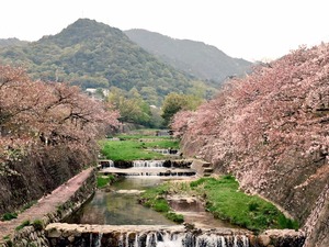 IMG_0645.JPG
