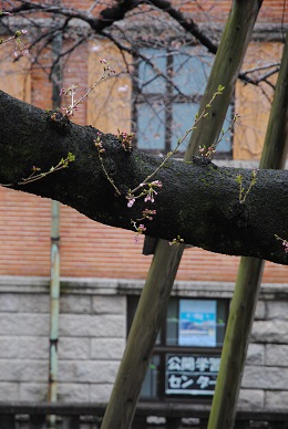 DSC_0651.JPG